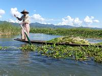 Lac Inle (77)